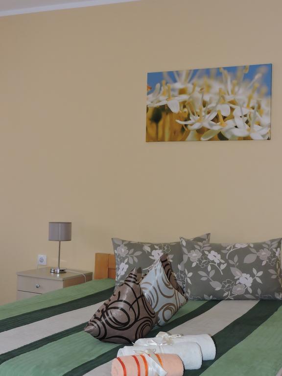 B&B Zmajevo Gnezdo 021 Sremska Kamenica Zimmer foto